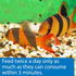 API Bottom Feeder Freeze-Dried Shrimp Pellets Fish Food with Squid