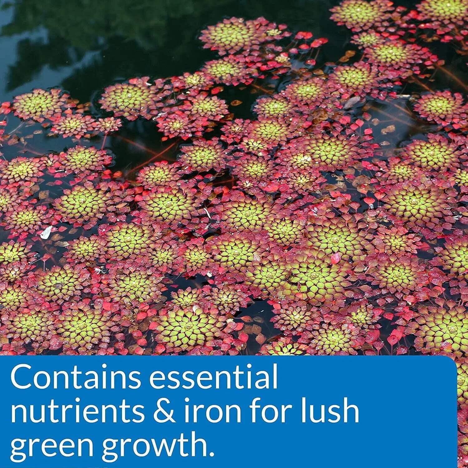 API PondCare Aquatic Freeze-Dried Potted Plant Pond Food Fertilizer - 3.8 Oz - 25 Tablets