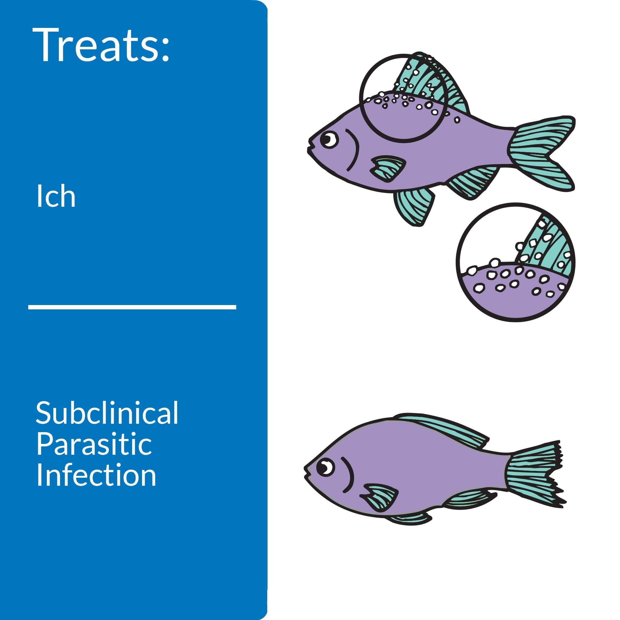 API Super Ick Cure Freshwater and Saltwater Liquid Spot Treatment Medication - 16 Oz