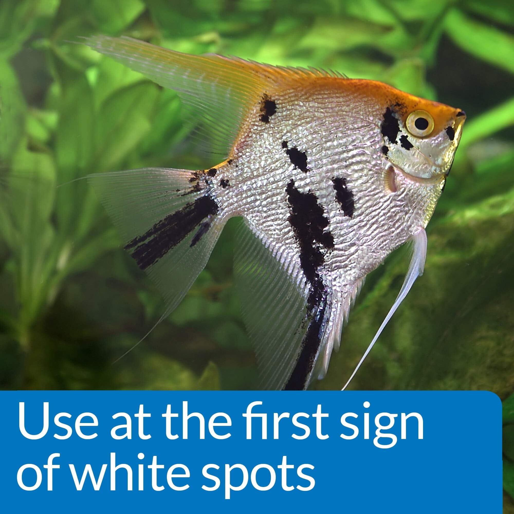 API Super Ick Cure Freshwater and Saltwater Liquid Spot Treatment Medication - 16 Oz