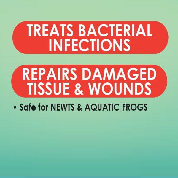 API Turtle Fix Frog Newt and Turtle Liquid Infection Medicine - 8 Oz