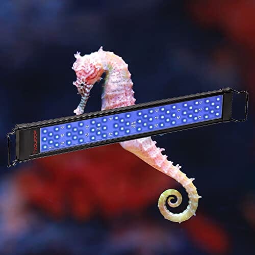 Aquatop SkyAqua Pro LED Aquarium Light with Remote 6500K