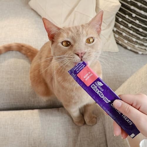 Ark Naturals Kiss Me-Ow Salmon Lickable Dental Cat Treats - 2 Oz