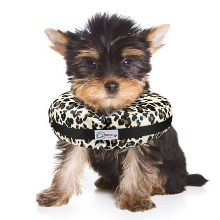 Arlee Comfurt Recovery Dog Collar Cheetah Extra Small