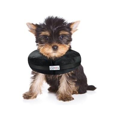 Arlee Comfurt Recovery Dog Collar Black Extra Small