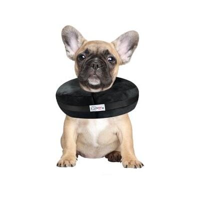 Arlee Comfurt Recovery Dog Collar Black Small