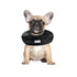 Arlee Comfurt Recovery Dog Collar Black Small