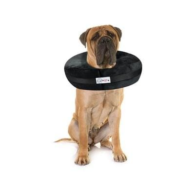 Arlee Comfurt Recovery Dog Collar Black XX-Large