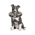 Arlee Comfurt Recovery Dog Collar Cheetah Large