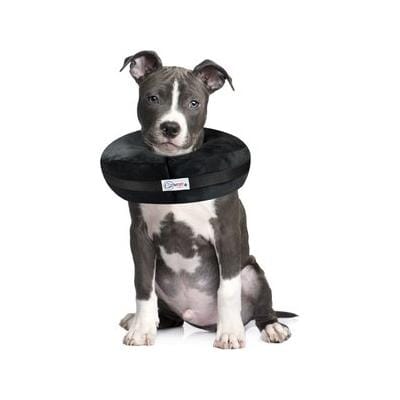 Arlee Comfurt Recovery Dog Collar Black Large