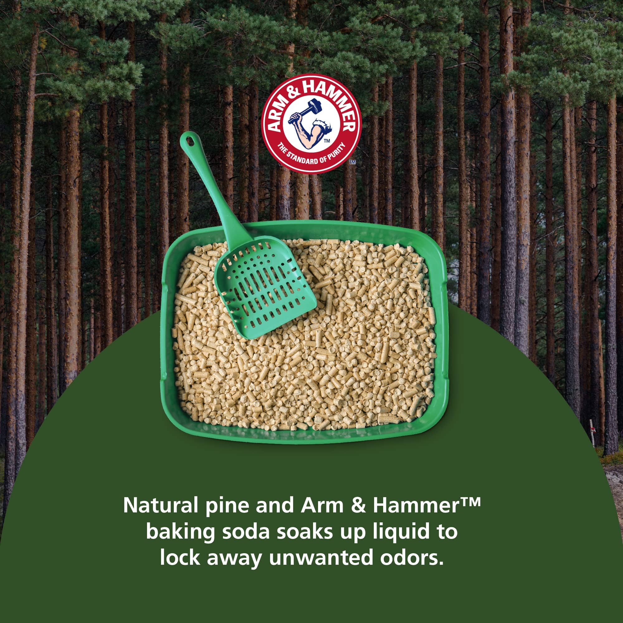 Arm & Hammer Feline Pine Scoop Clumping Cat Litter - 14 Lbs - Case of 2  