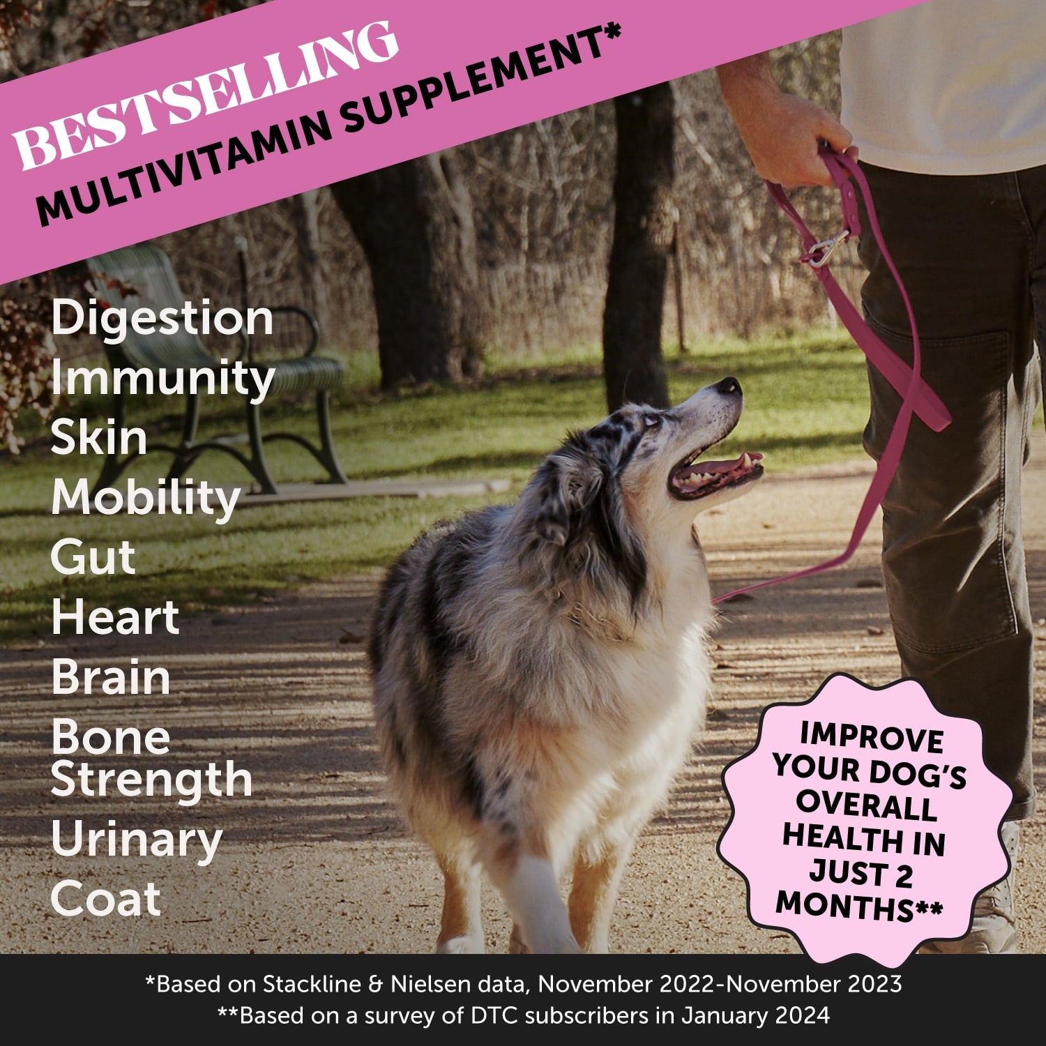 Pet Honesty Multi-Vitamin 10-in-1 Probiotic Peanut Butter Flavor Soft Chew Dog Supplement - 90 Count