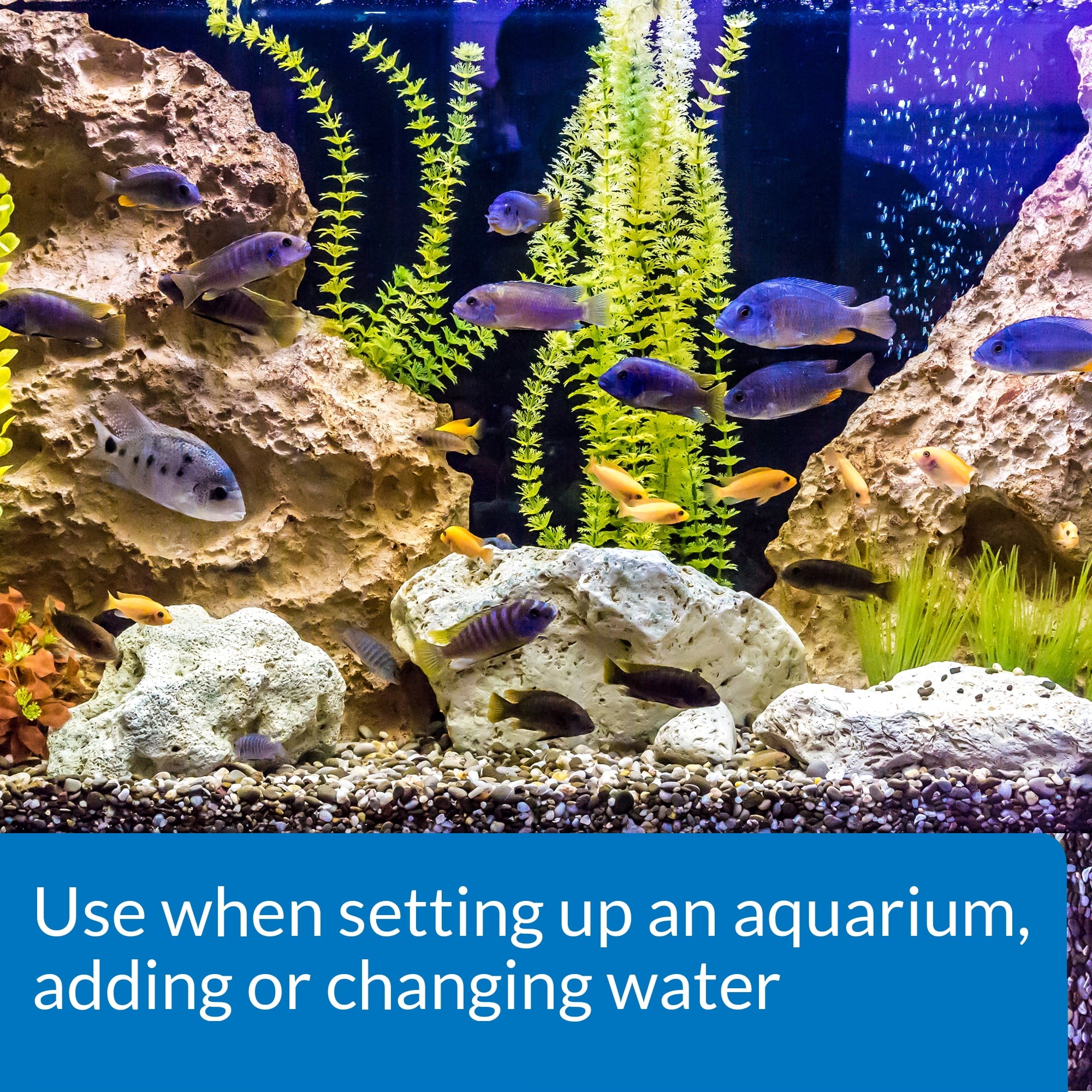 API Tap Water Conditioner for Freshwater and Saltwater Aquariums - 1.25 Oz
