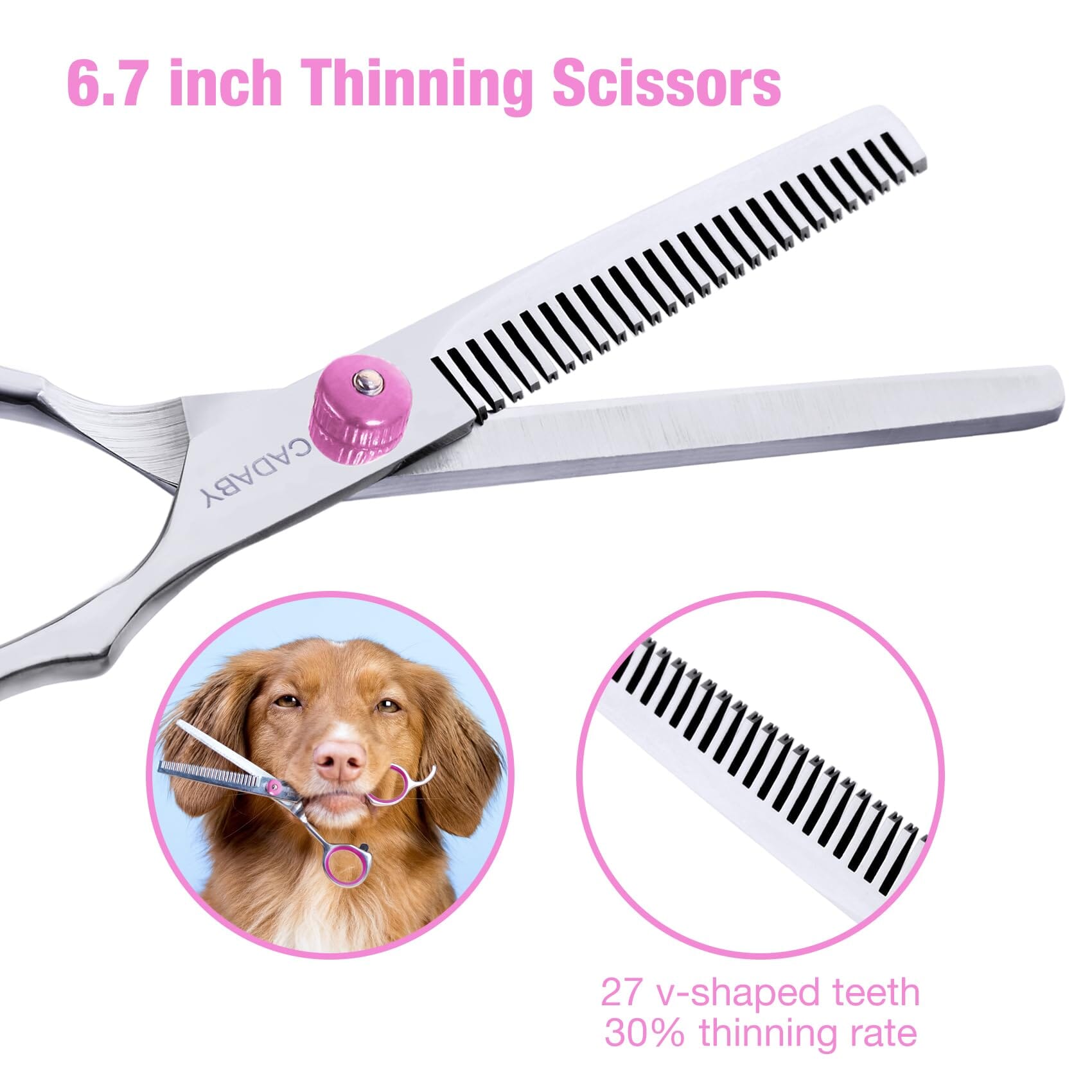 BaByliss Pro Pet Titan Round Tip Shears for Dogs and Cats - 5" Inches  