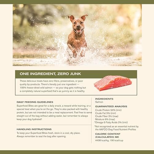 Badlands Ranch Superfood Bites Limited Ingredient Salmon Freeze-Dried Raw Dog Treats - 4 Oz
