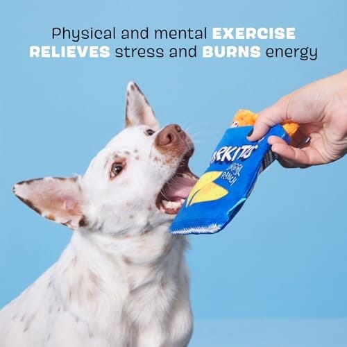 Bark Box Barkitos Drool Ranch Chip 3-Piece Squeak and Plush Dog Toy - XS/Small