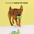 Bark Box Consuela the Cactus Plush Dog Toy  