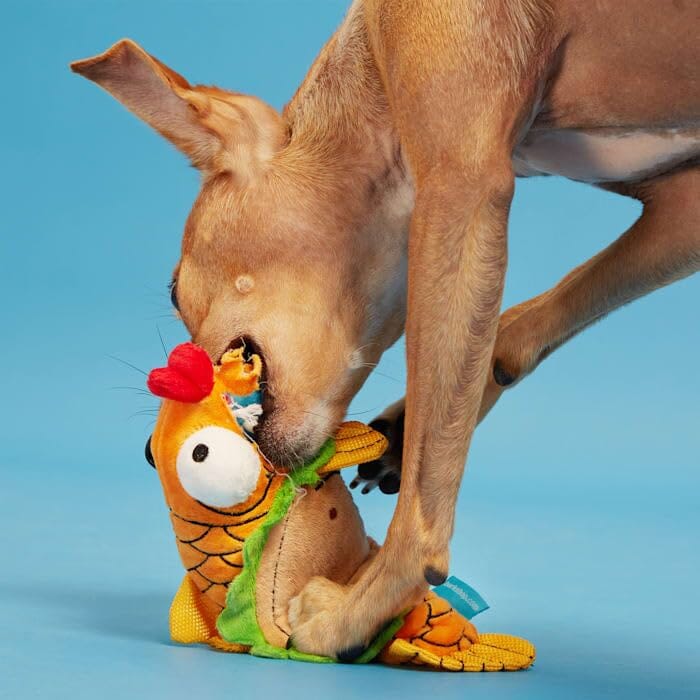 bark box fish BARK Ernesto the Fish Taco Dog Toy