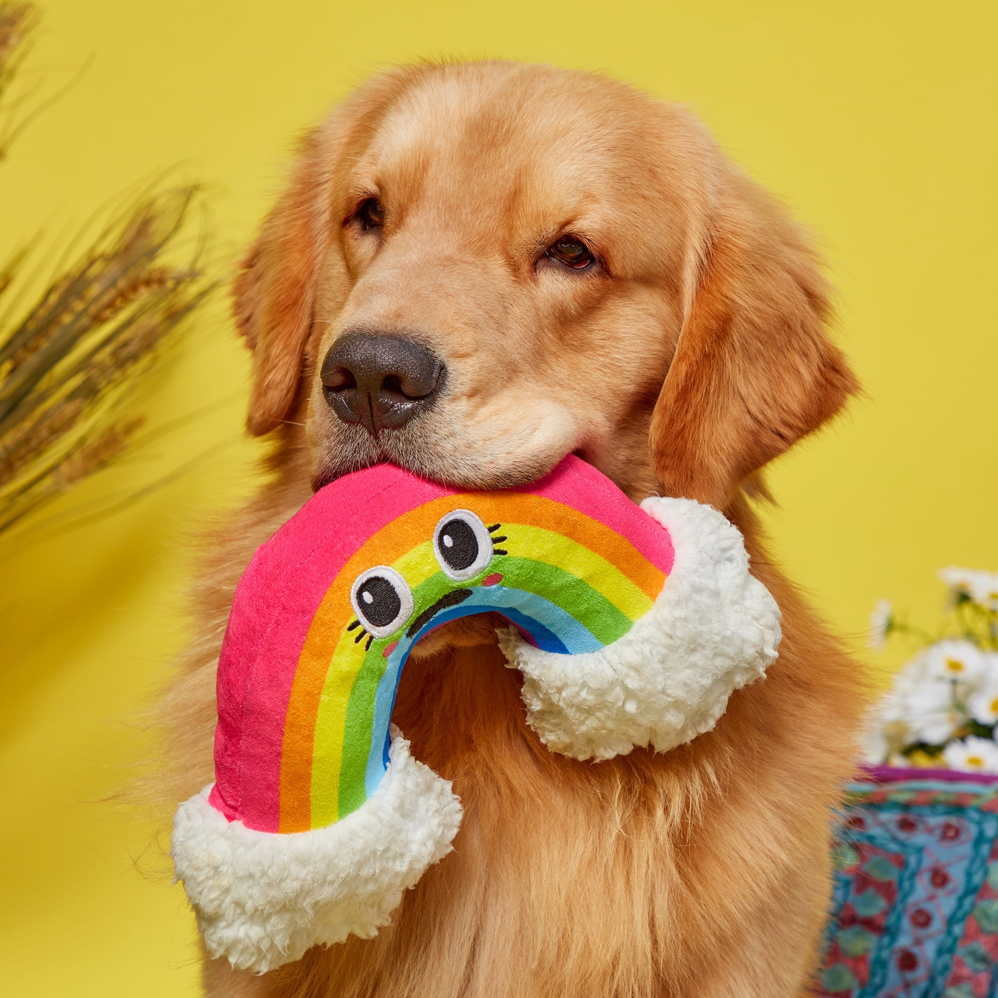 Bark Box Mr. Blue Sky Rainbow Crinkle Squeak and Plush Dog Toy  