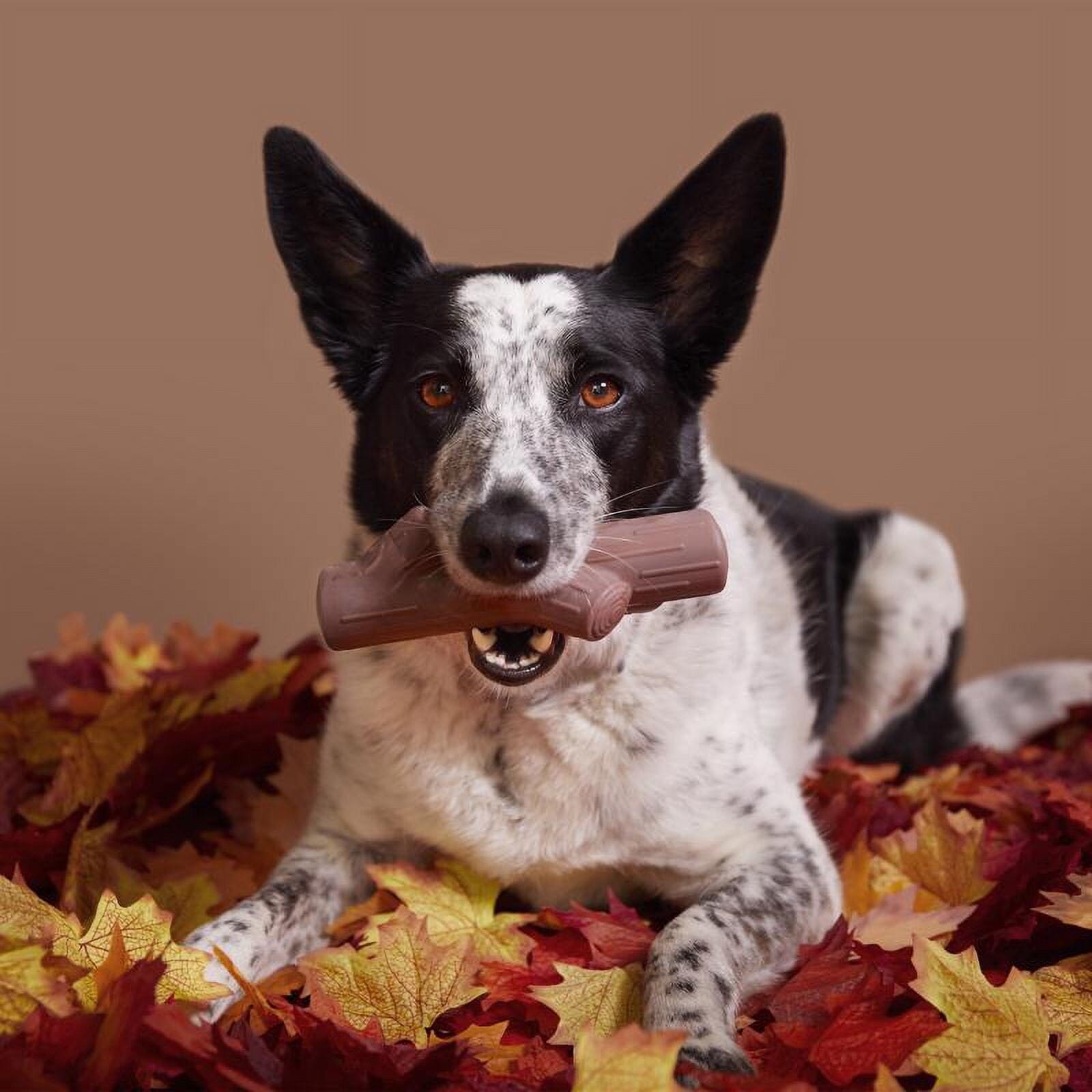 Bark Box Super Chewer Fall Fetch Stick Maple Scented Nylon Dog Toy - Medium 