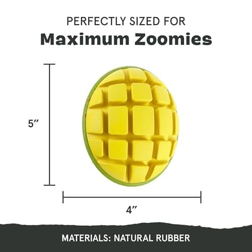 Bark Box Super Chewer Go Mango Candy Scented Treat-Spreading and Squeak Rubber Dog Toy - Large