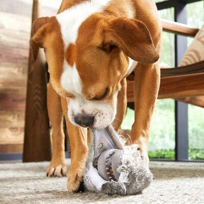 Bark Box Super Chewer Hare Raiser Rabbit Rubber Core and Squeak Plush Dog Toy - Medium/Large