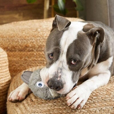 Bark Box Super Chewer Hare Raiser Rabbit Rubber Core and Squeak Plush Dog Toy - Medium/Large