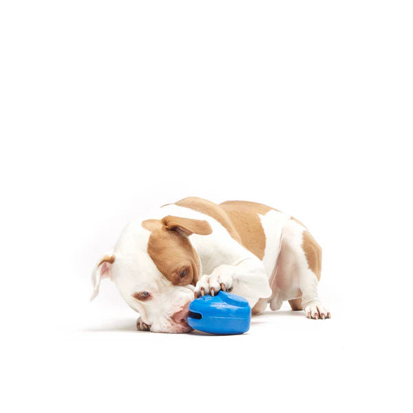Bark Box Super Chewer Knapsack Treat Holder Rubber Dog Toy