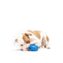Bark Box Super Chewer Knapsack Treat Holder Rubber Dog Toy