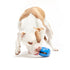 Bark Box Super Chewer Knapsack Treat Holder Rubber Dog Toy