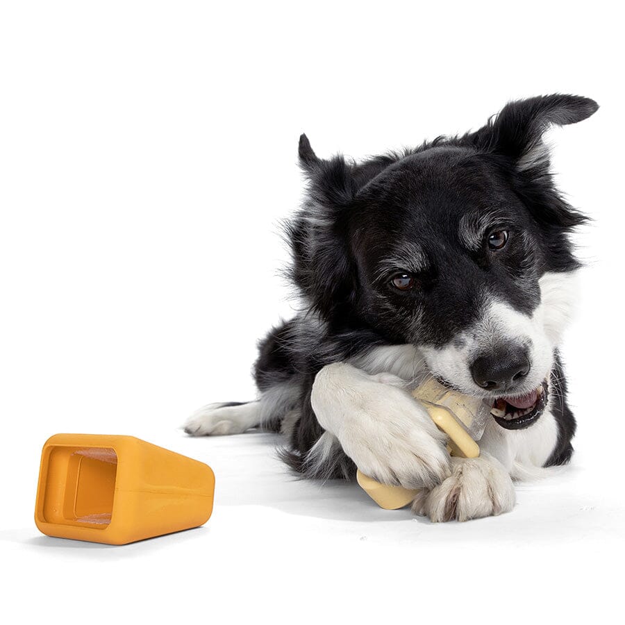 Bark Box Super Chewer Make N' Munch Pupsicle Kit Squeak and Rubber Dog Toy