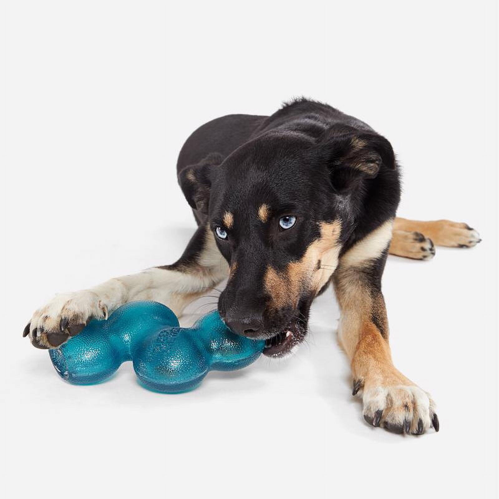 Bark Box Super Chewer Treat Giver River Dog Toy - Medium/Large