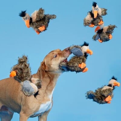 Bark Box Verne The Vulture Squeak and Plush Dog Toy