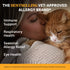 Pet Honesty Immunity L-Lysine Allergy and Omega-3 with Vitamins Chicken Flavor Supplemental Cat Treats - 3.7 Oz - 30 Day Supply