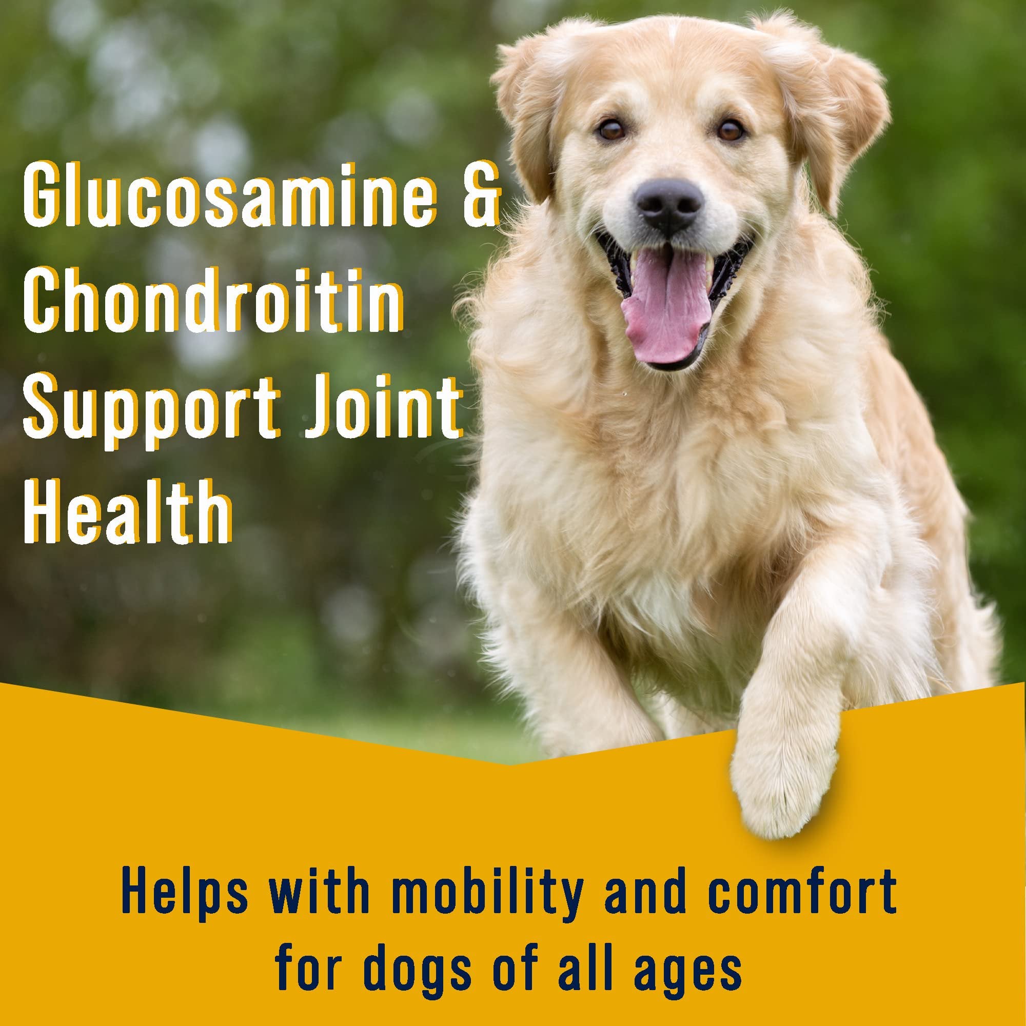 Stewart Healthy Hips Beef Sweet Potato with Glucosamine Freeze-Dried Dog Food Topper or Treats