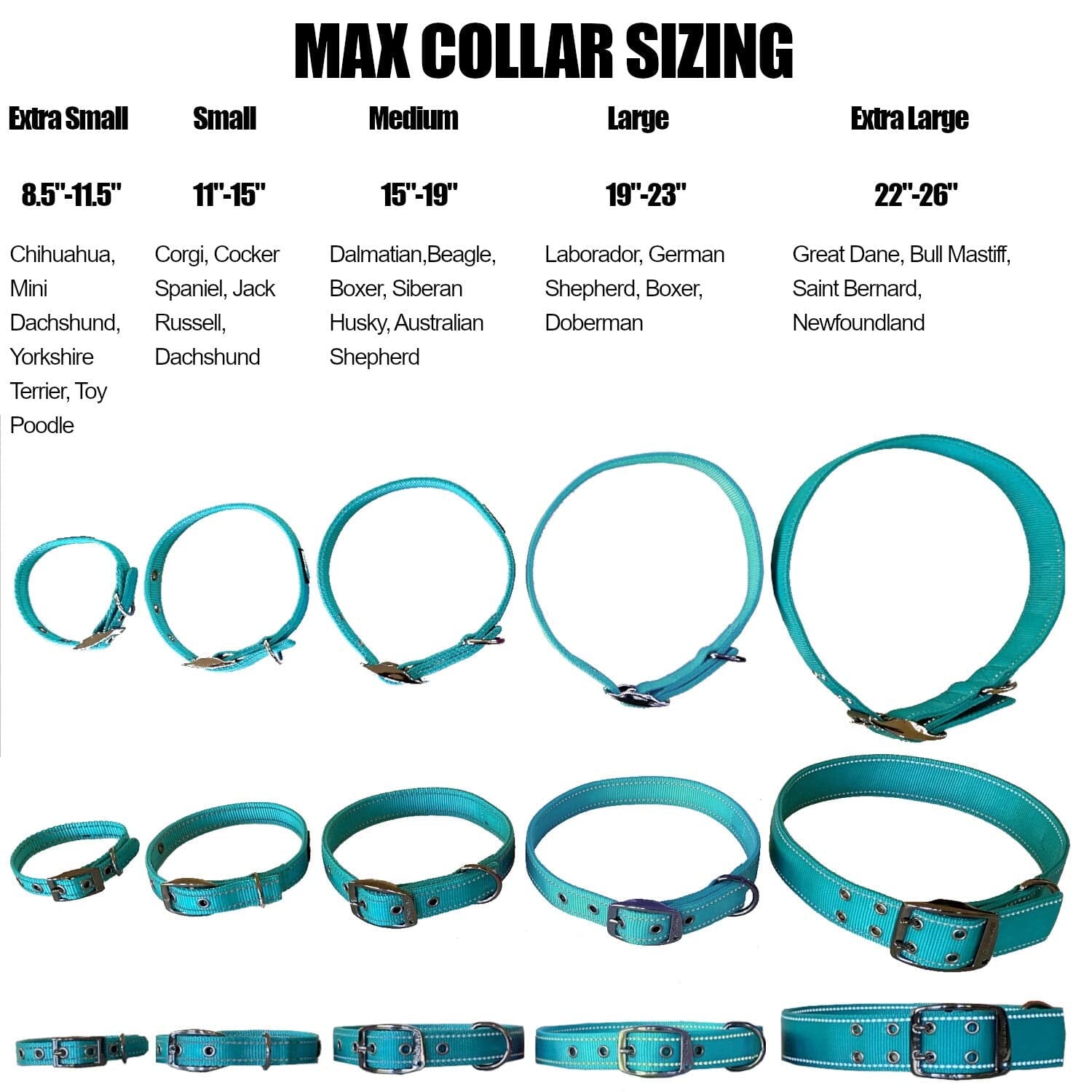 Bella and Max Heavy Adventure Dog Collar - Blue - Large  