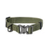 Bella and Max Heavy Adventure Dog Collar - Green - Medium  