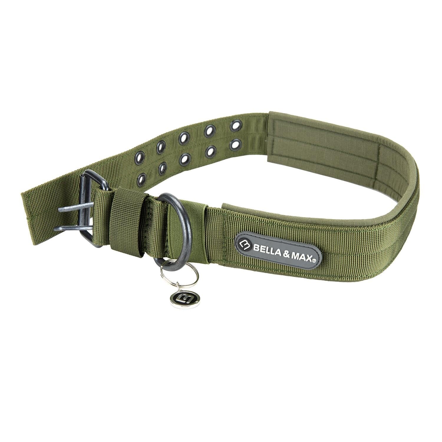 Bella and Max Heavy Adventure Dog Collar - Green - Medium  