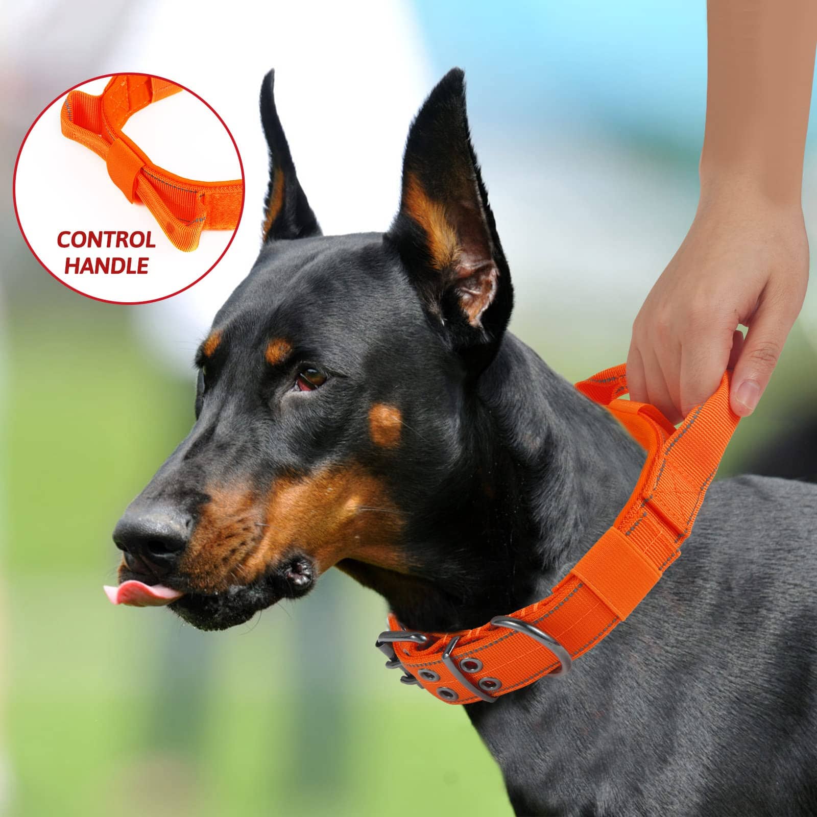 Bella and Max Heavy Adventure Dog Collar - Orange - Extra Large  