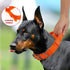 Bella and Max Heavy Adventure Dog Collar - Orange - Extra Large  