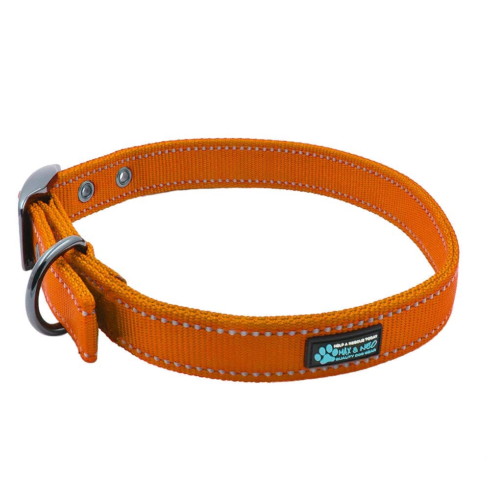 Bella and Max Heavy Adventure Dog Collar - Orange - Medium  