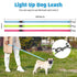 Bella and Max USB LED Flashing Bungee Dog Leash - Orange  