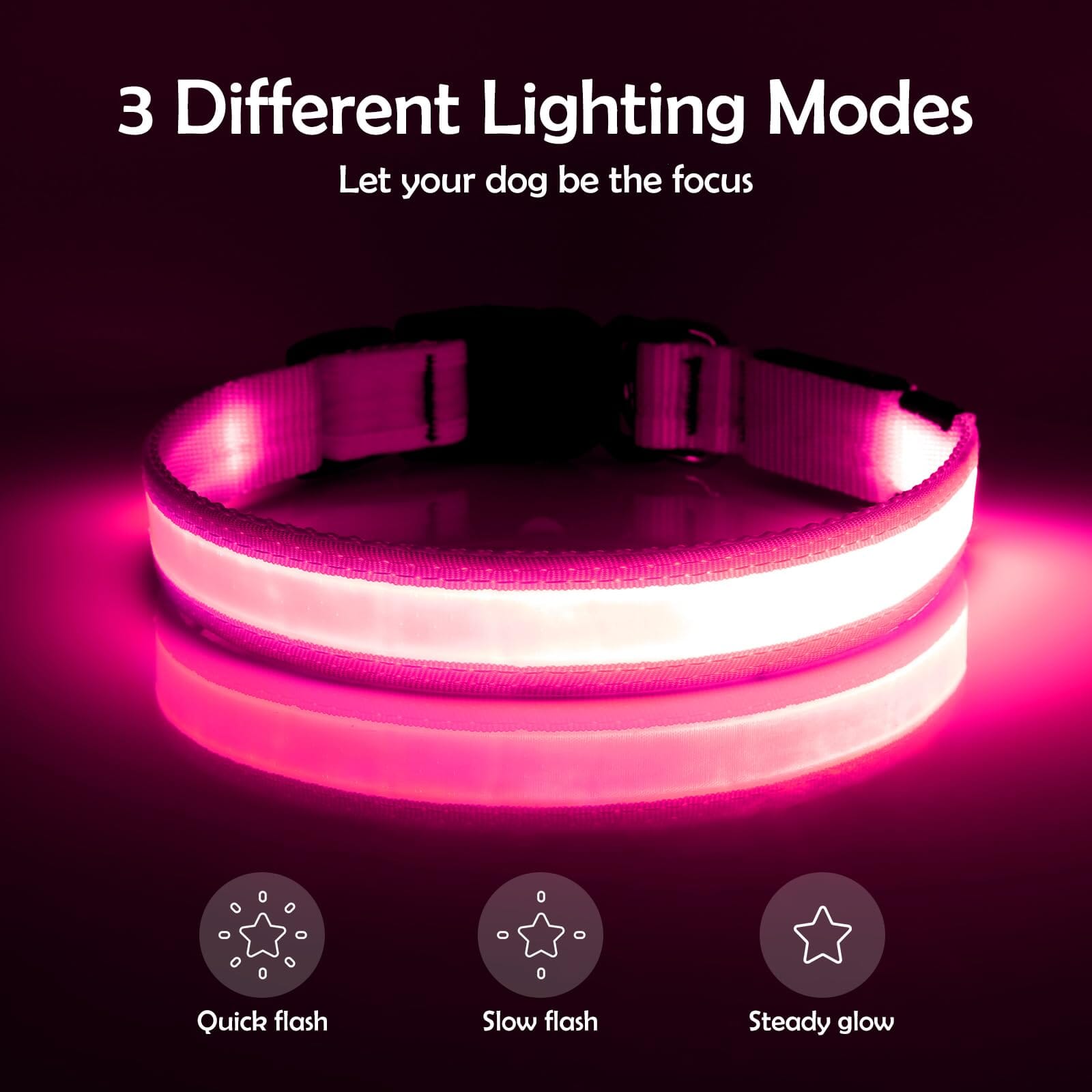 Bella and Max USB LED Flashing Warrior Dog Collar  