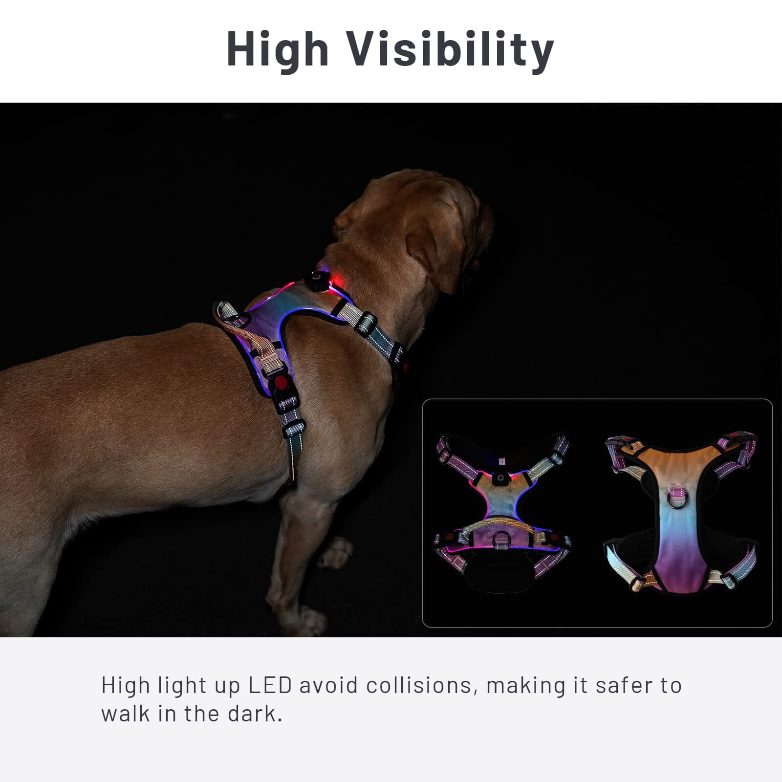 Bella and Max USB LED Lighting Dog Harness - Neon - Large  