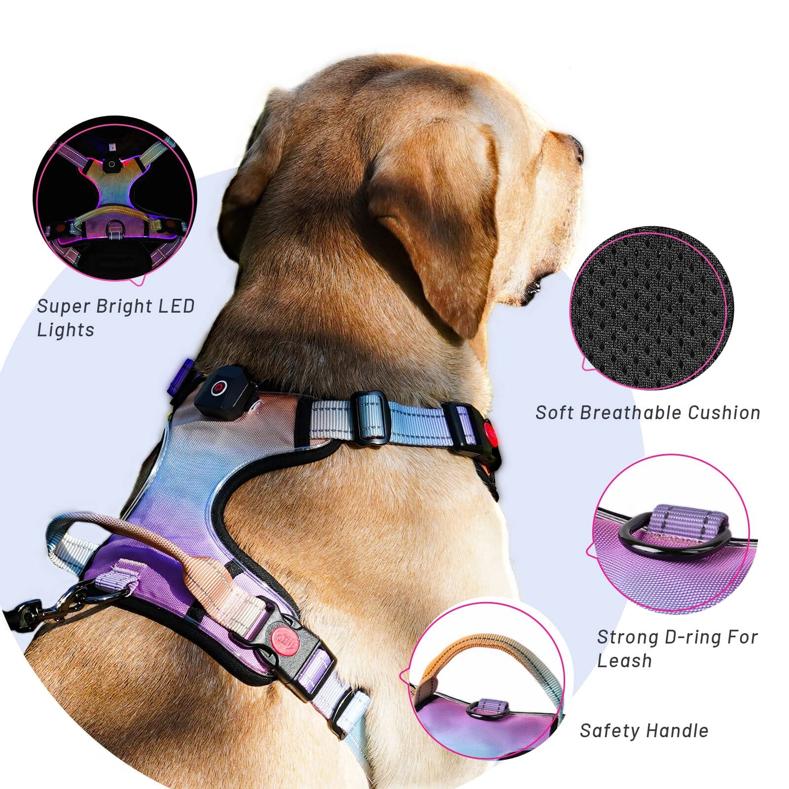 Bella and Max USB LED Lighting Dog Harness - Neon - Large  