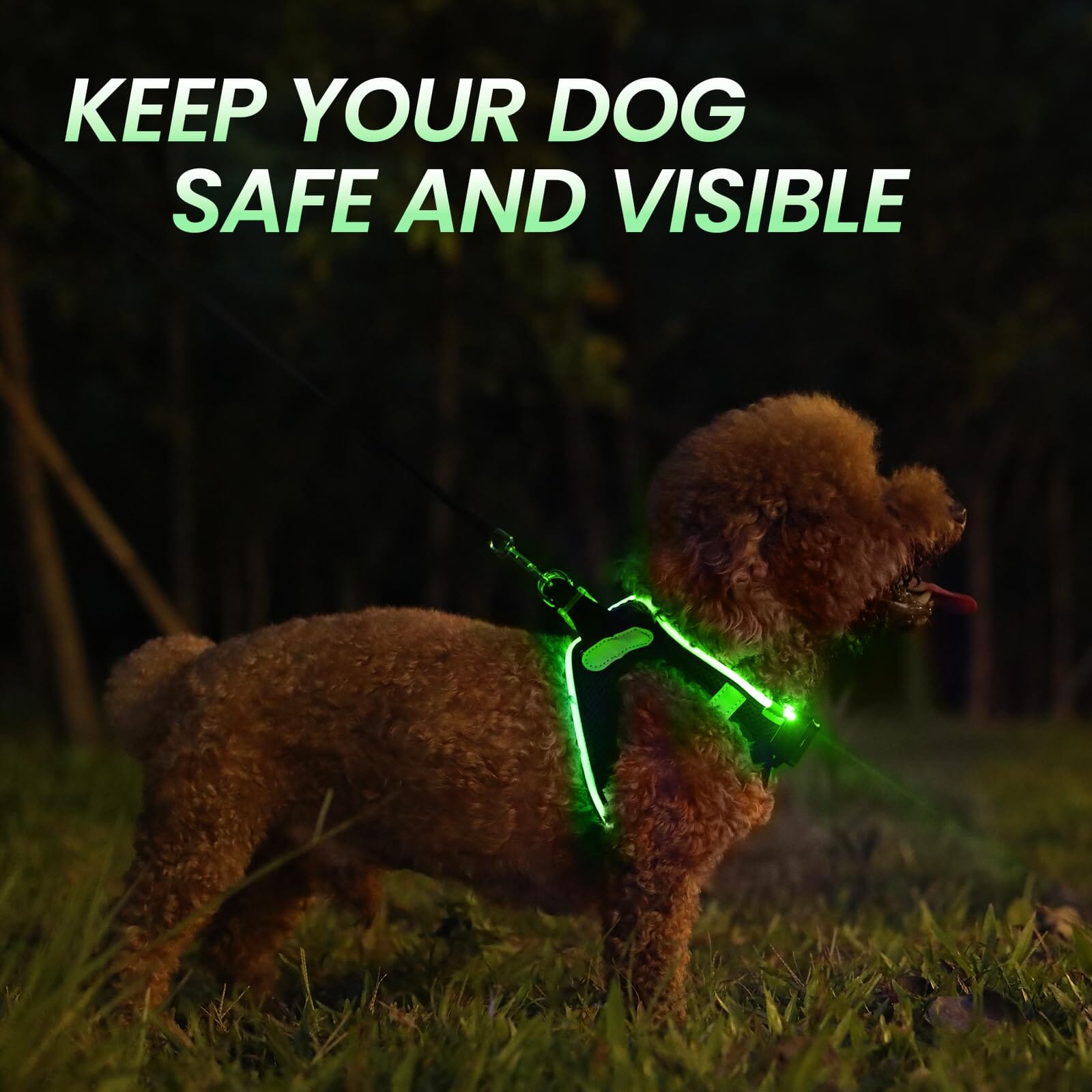 Bella and Max USB LED Lighting Dog Harness - Neon - Medium  