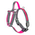 Bella and Max USB LED Lighting Dog Harness - Rose - Large  