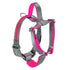 Bella and Max USB LED Lighting Dog Harness - Rose - Small  