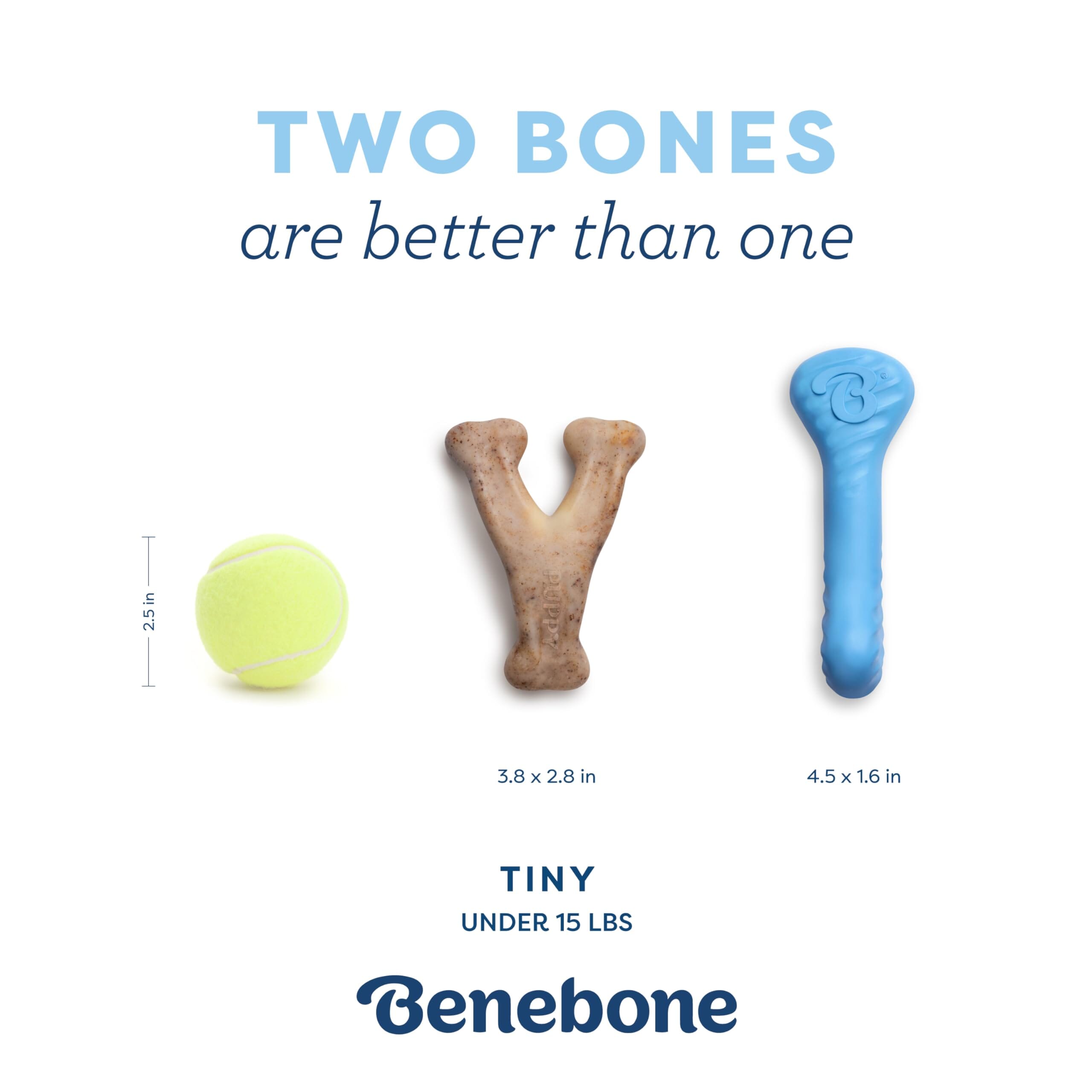 Benebone Made in USA Real Bacon Flavored Wishbone and Rubber Bone Puppy Dog Chew Toy - Tiny - 2 Pack