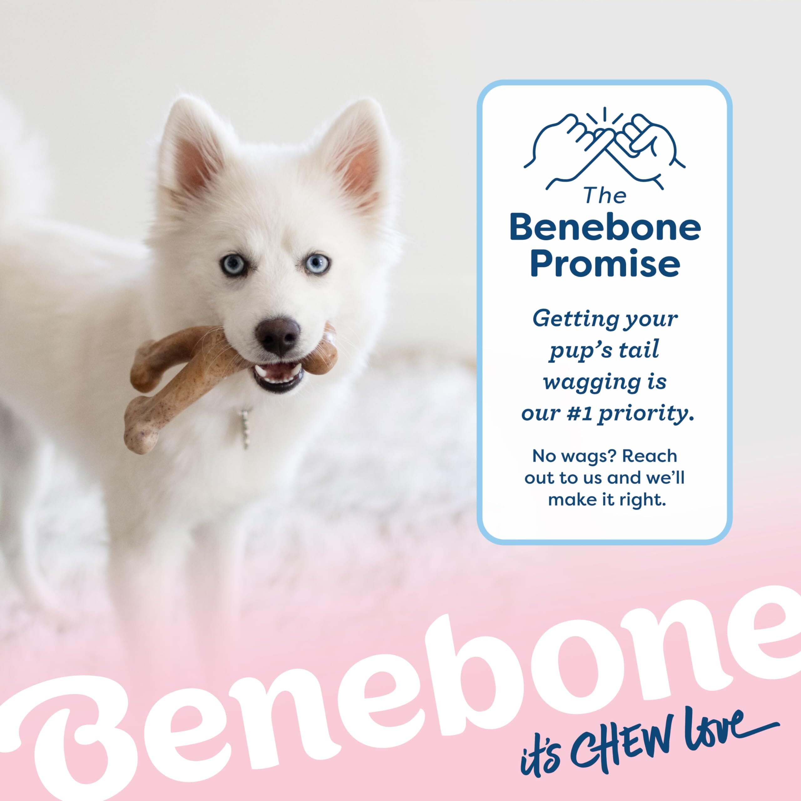 Benebone Made in USA Real Bacon Flavored Wishbone and Rubber Bone Puppy Dog Chew Toy - Tiny - 2 Pack